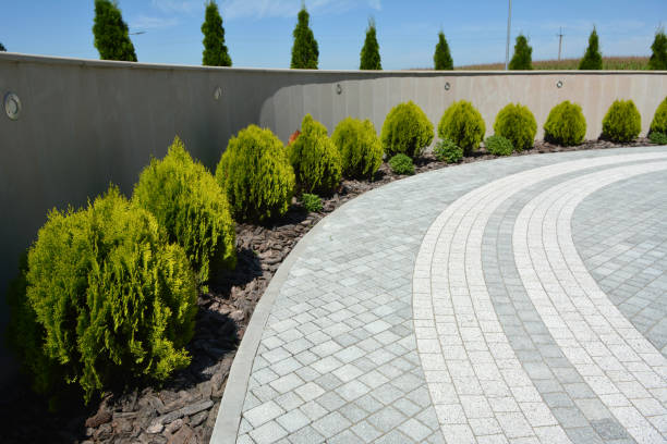 Best Driveway Paving Contractor  in Inglis, FL